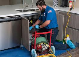 Best Pipe Inspections and Diagnostics  in Woodridge, IL